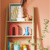 Shelves filled with bright, ecletic decor on a coral wall