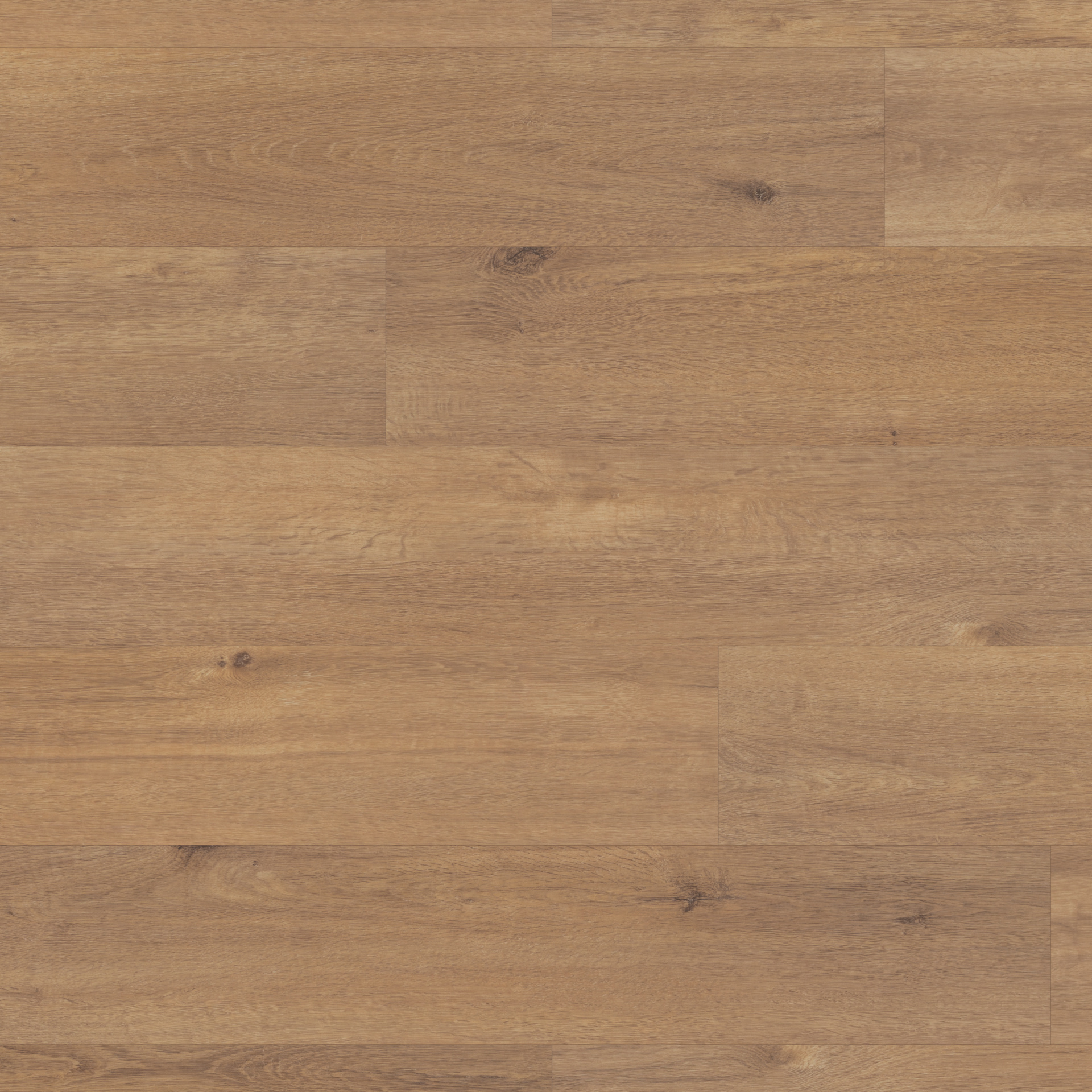 North Amercian Oak RCP6533 design from the Korlok Reserve rigid core collection