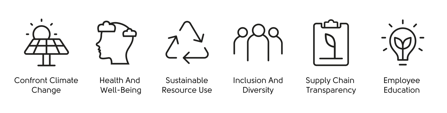 Icons representing our 6 focus areas: Confronting Climate Change, Health And Well-Being, Sustainable Resource Use, Inclusion And Diversity, Supply Chain Transparency, Employee Education