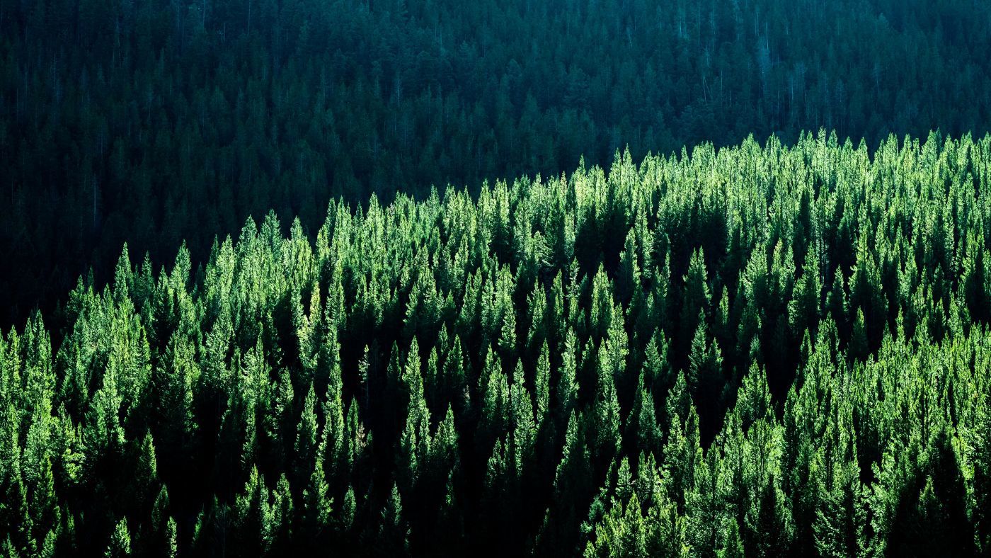 Karndean flooring supporting environment